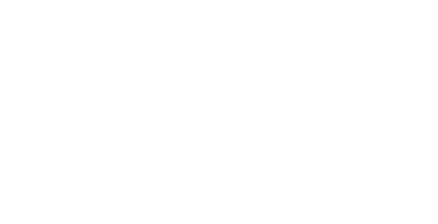 Logo Paglieri